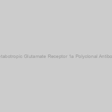 Image of Metabotropic Glutamate Receptor 1a Polyclonal Antibody